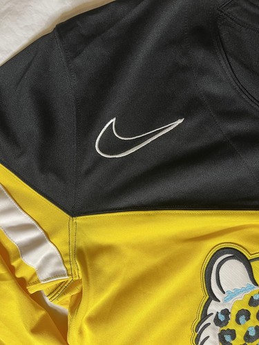 nike sb brian anderson jersey