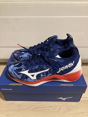 MIZUNO Volleyball Shoes WAVE MOMENTUM V1GA191164 Japan Blue