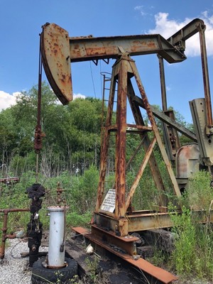 OIL WELL INTEREST FOR SALE ~ PRODUCING ~ SOUTH LOUISIANA ~ STARTING 3/15/19