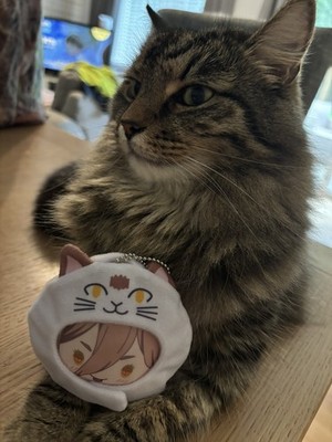 Objectfoto('s) van geverifieerde koper