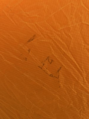 Photos de l'objet d'un acheteur vérifié