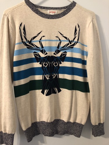 Boys Sweater size 12/14