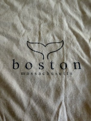 Comfort Colors Boston Tshirt Pink medium