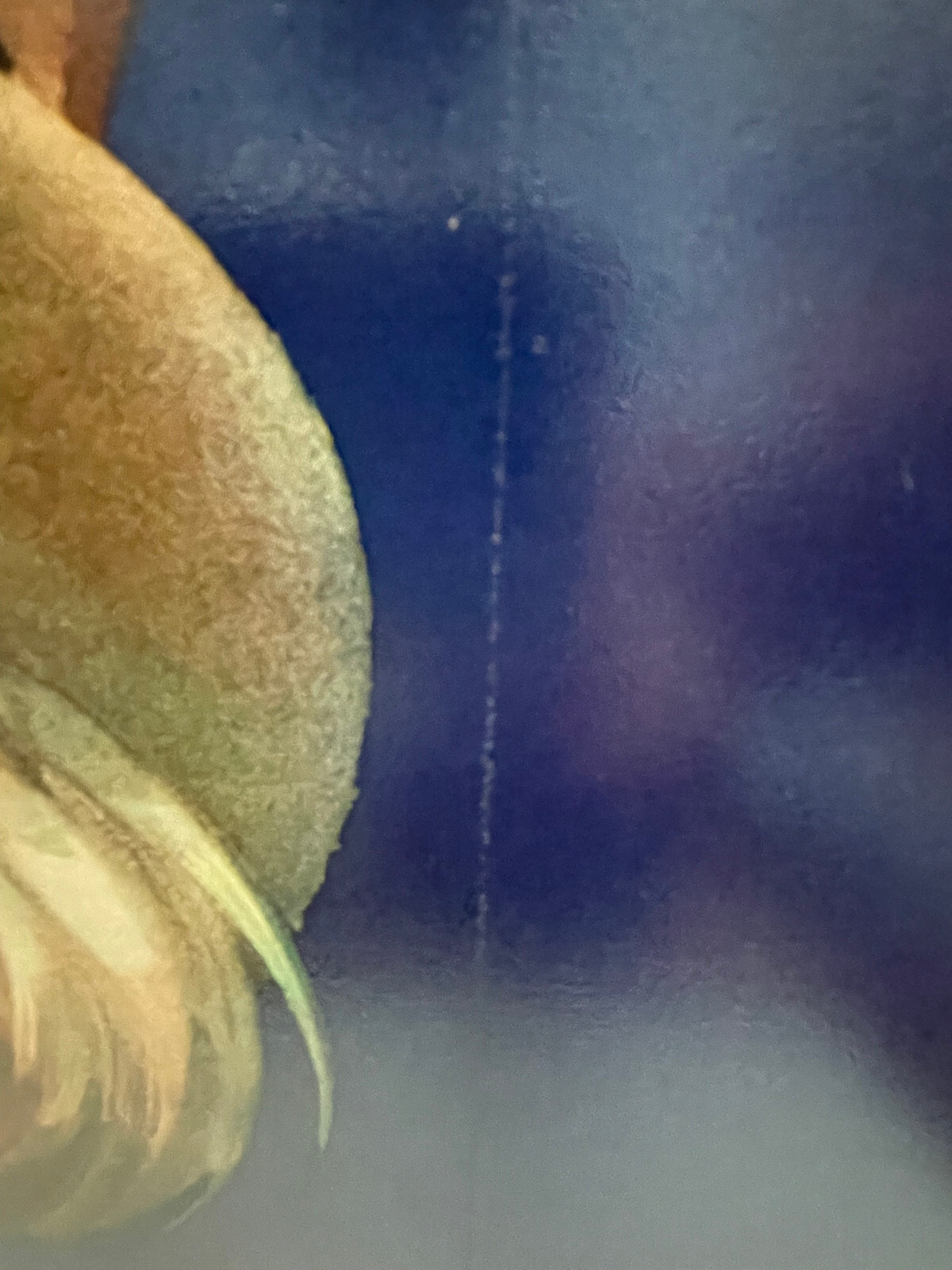 Uncle Sam I'm Counting On You! Don't Discuss Troops Metal Tin Sign Decor 16"x12"