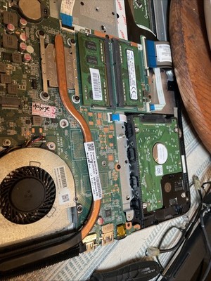 Photos de l'objet d'un acheteur vérifié