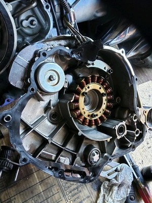 Artikelfoto(s) von einem verifizierten Käufer