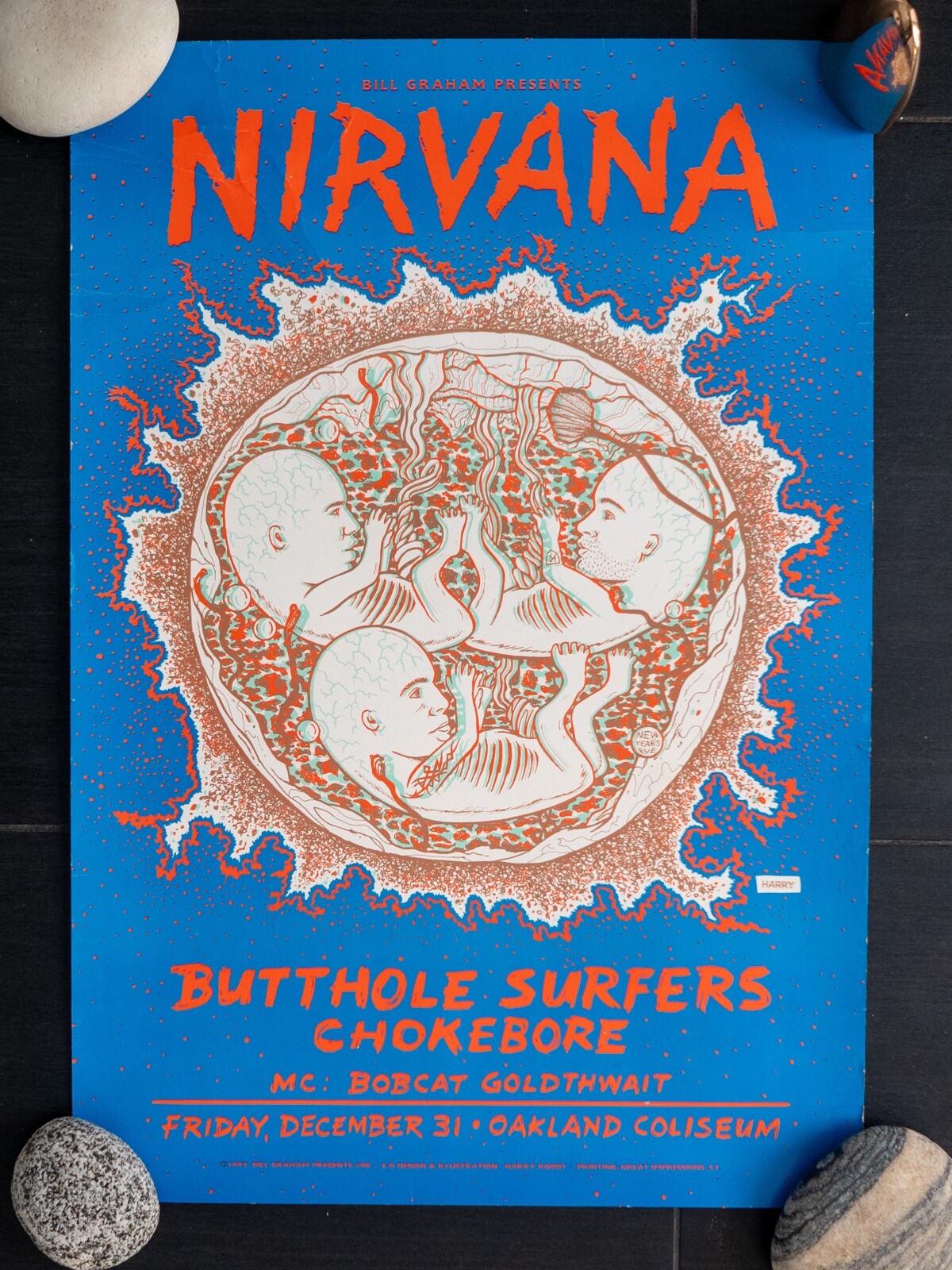 original nirvana butthole surfers 13x19 new years eve 93-94 original nirvana butthole surfers 13x19 new years eve 93-94