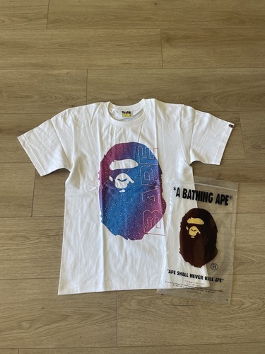 $_12.JPG?set_id=880000500F