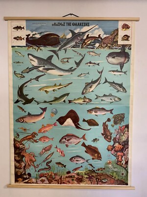 Sea World School map, Vintage Seawater fish pull down Greek Educational Chart