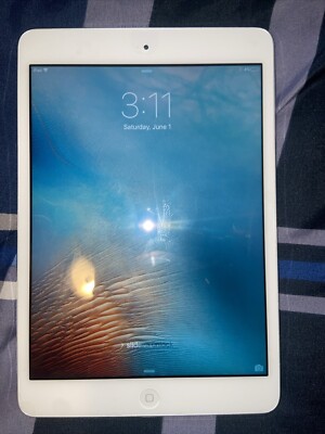 Apple iPad mini 1st Gen. 16GB, Wi-Fi, 7.9in - Space Gray