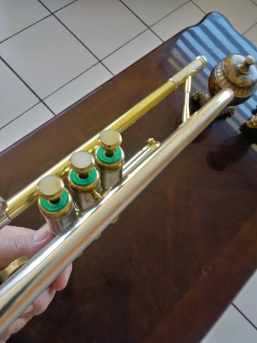 Berkeley ProfessionalTrumpet(TP612S)/Olds Especial Fullerton Trumpet(1959)