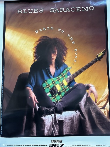 国内盤！BLUES SARACENO / ブルース・サラセノ / PLAID $_12.JPG?set_id=880000500F