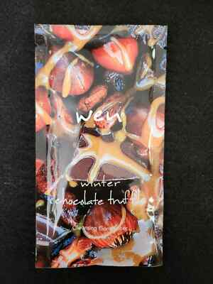 WEN Winter Chocolate Truffle Cleansing Conditioner Travel Packet - 2 oz - New