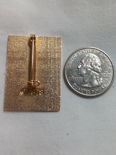 XIII Olympic Winter Games Lake Placid Pin 1980 Goldtone