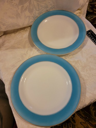VINTAGE PYREX MILK GLASS DINNERWARE  GOLD TRIM BLUE DINNER PLATE 10IN SET OF 2