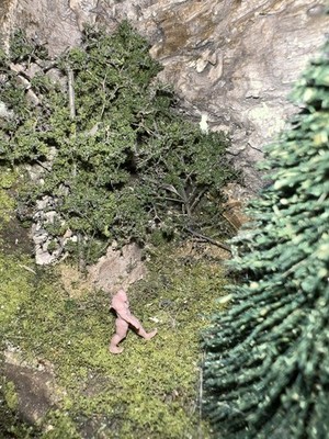 Foto dell'oggetto di un acquirente verificato