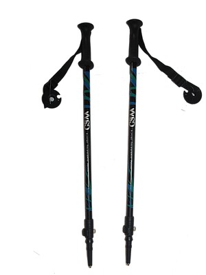 rossignol ski pole replacement baskets