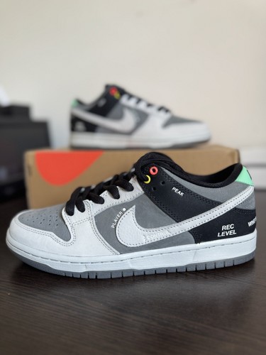 dunk low vx100