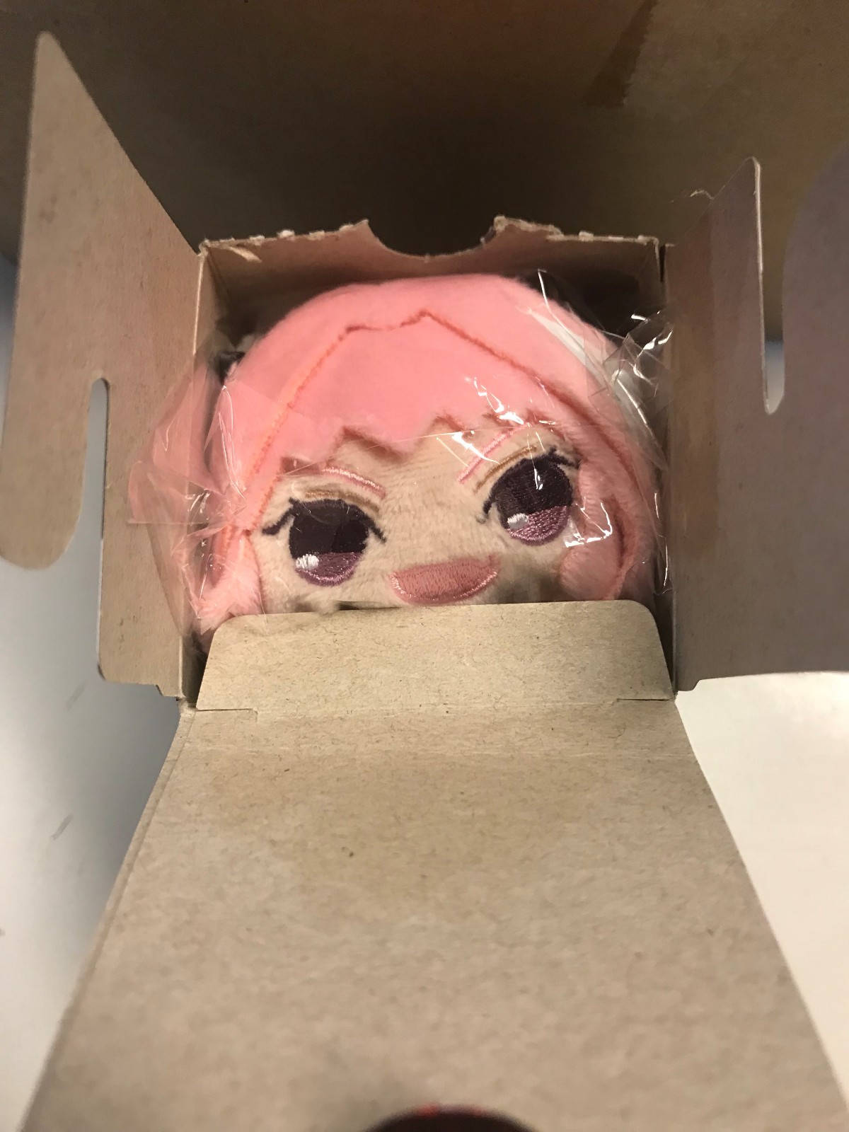 haunted astolfo plushie for sale