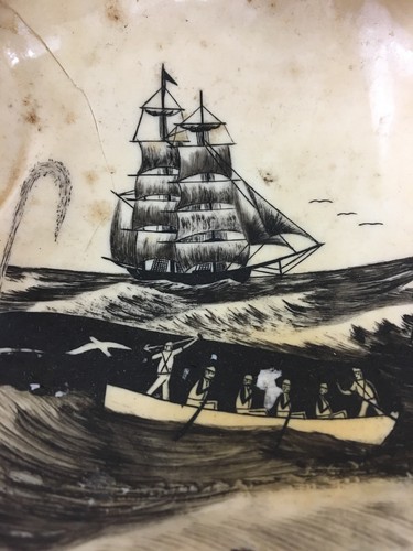 Amazing Original Scrimshaw Whale Clipper Clamshell 