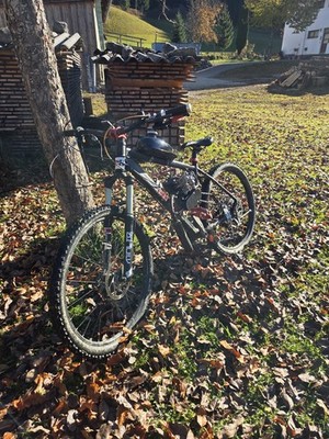 Fotos del artículo de un comprador verificado