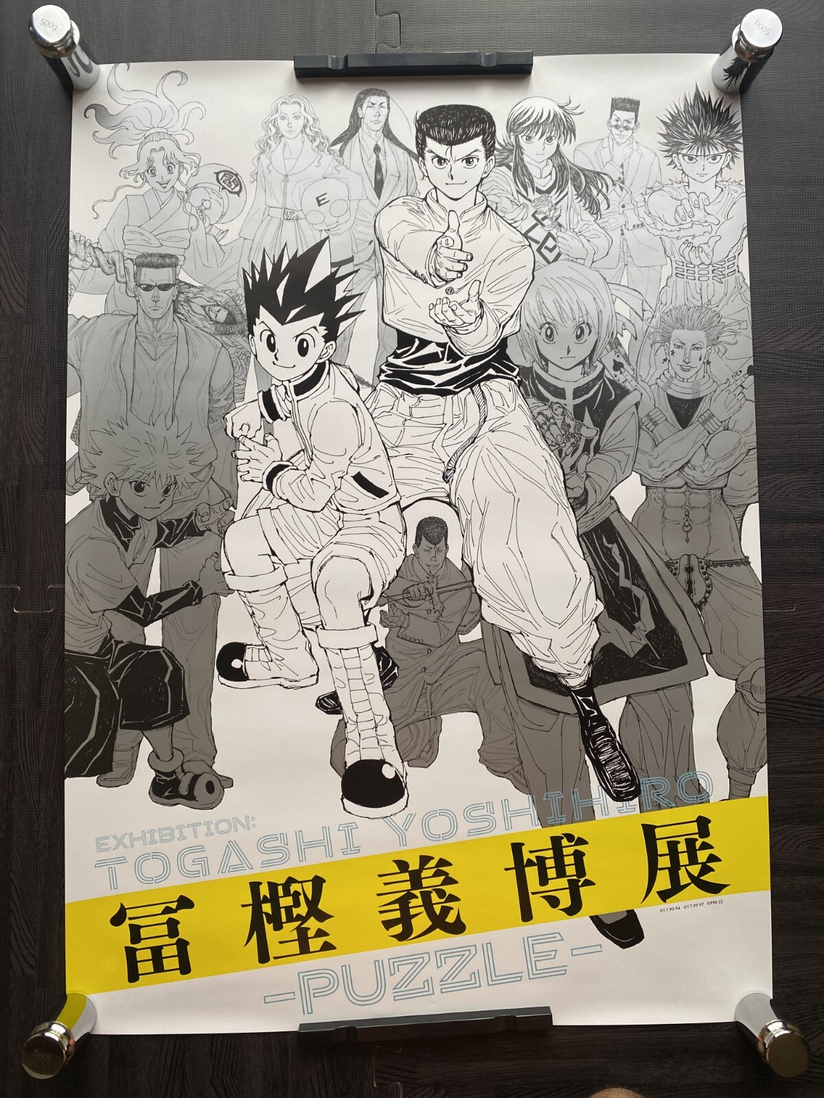 Apple - HxH project  il_fullxfull.6777568756_cgzq.jpg