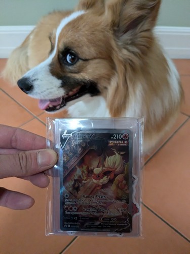Fotos del artículo de un comprador verificado