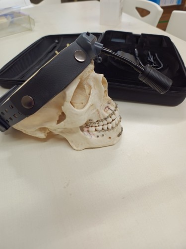 Artikelfoto(s) von einem verifizierten Käufer