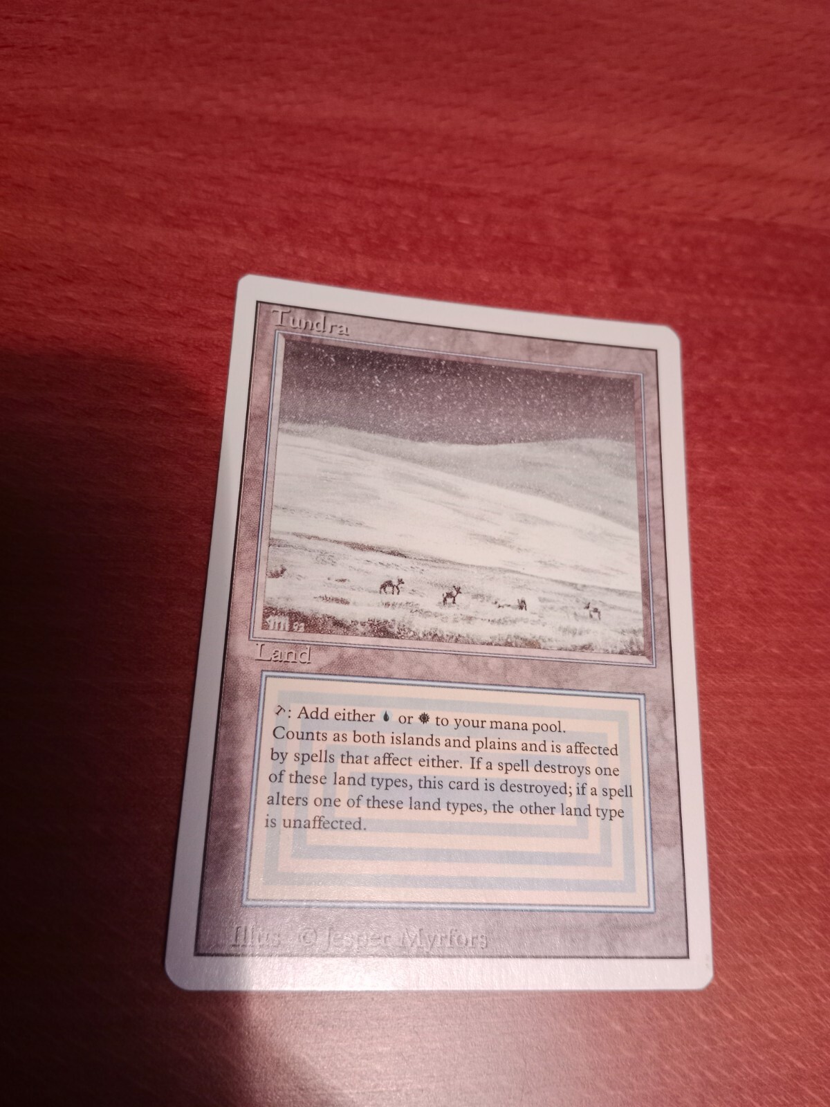 MTG NM Tundra 3rd Edition / Revised English | eBay MTG NM Tundra 3rd Edition / Revised English | eBay