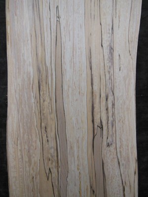 S=224_ Spalted Black Line Maple Slab 471/4