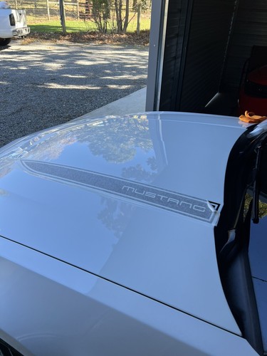 Hood Spear Cowl Stripe Decal Package For 2010-2012 Ford Mustang - Graphic