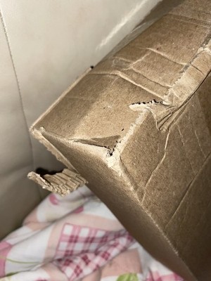 Item photo(s) from verified buyer