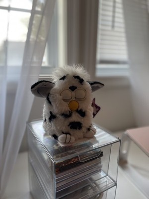 Photos de l'objet d'un acheteur vérifié