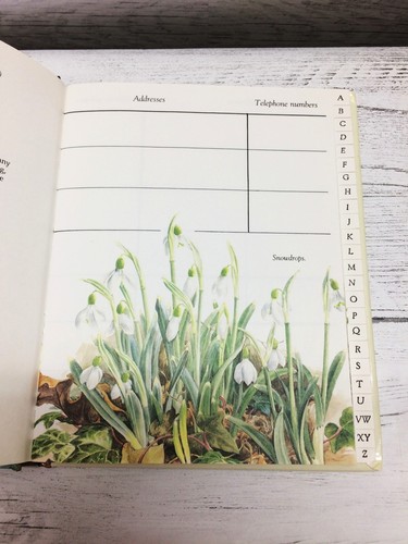1990s Benjamin Perkins Illustrated  Address Book Year in the Meadow