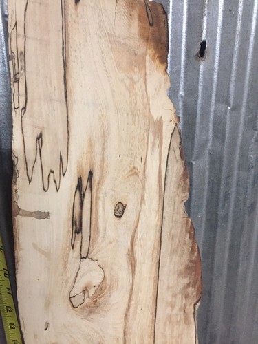 Spalted White Ash Kiln Dried Slab Live Edge Turning Blank Decorative Accent Wood