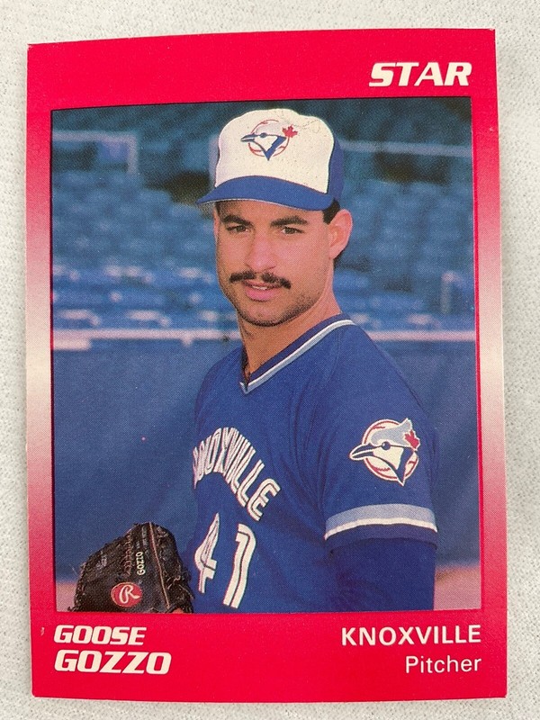 1989 STAR CO. Minor League Baseball Card#121-GOOSE GOZZO