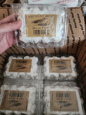 Objectfoto('s) van geverifieerde koper