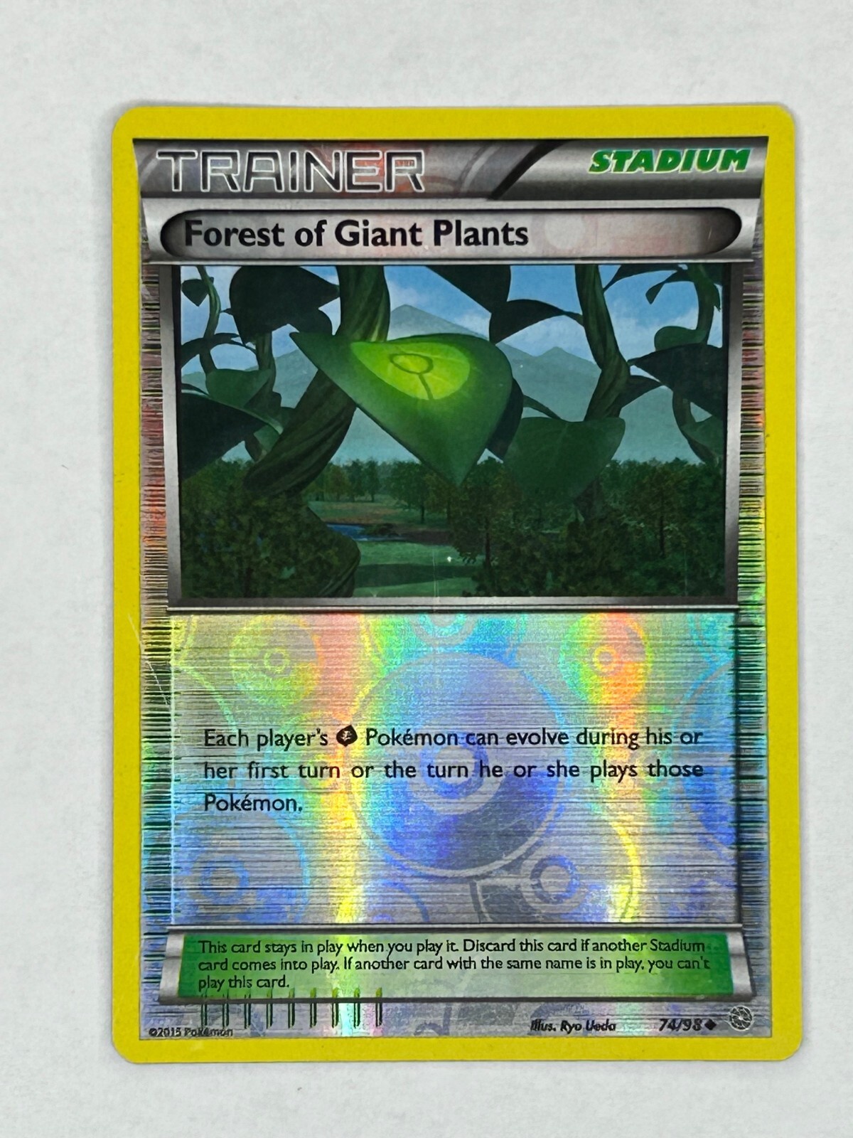 ブランケット Berry’s forest, Ghost’s castle ブランケット Berry's forest, Ghost's castle ブランケット