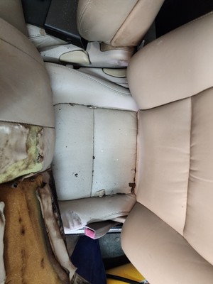 image 10 of interior