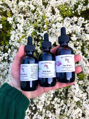 Cat's Claw Tincture Herb Extract Double Extraction