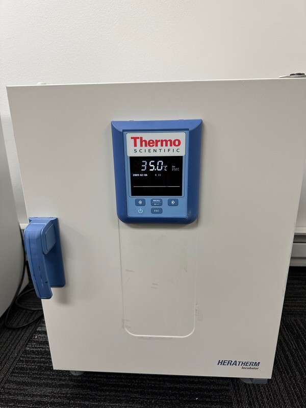 Thermo Scientific Heratherm IMH60 Incubator