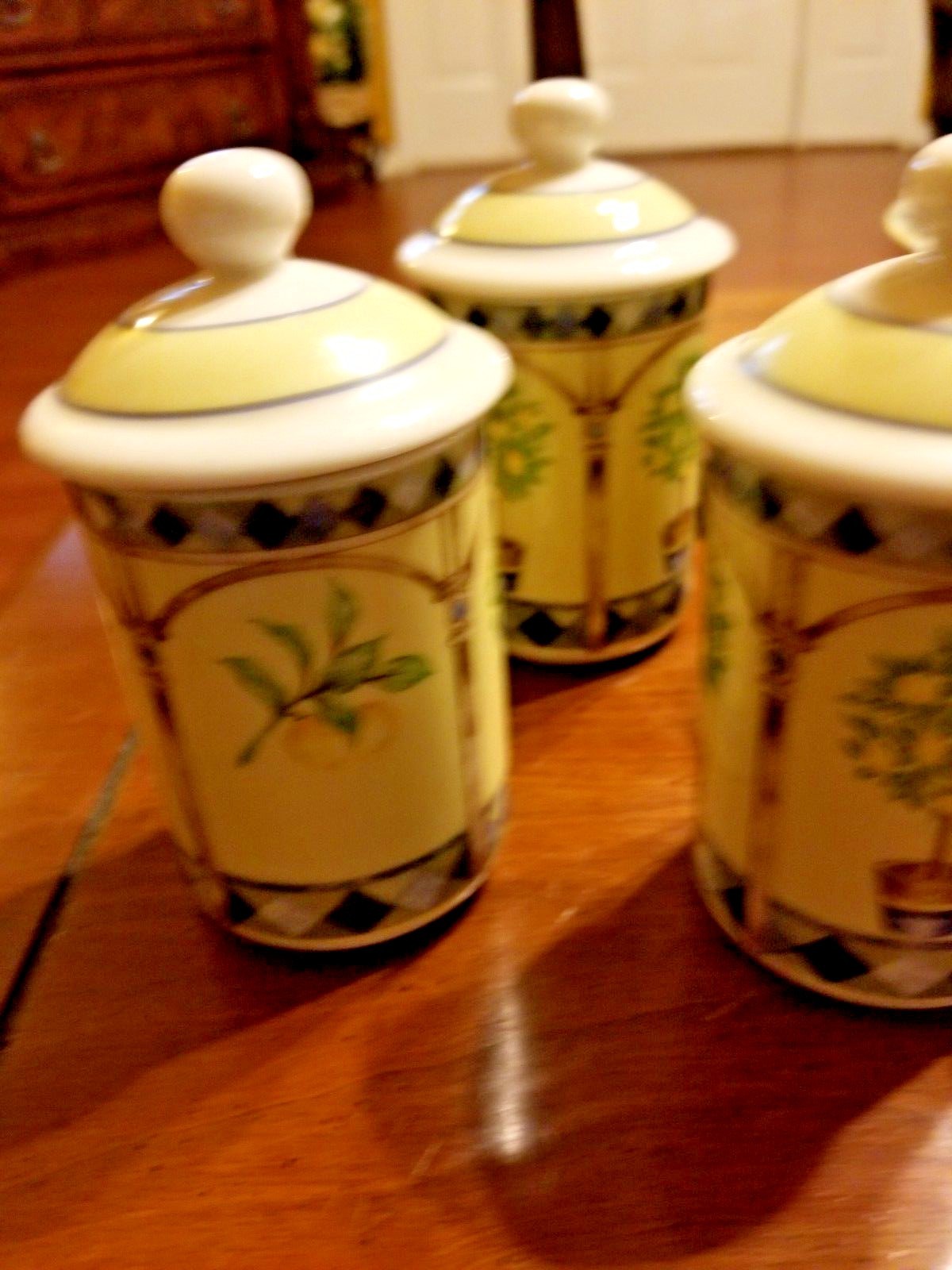 ROYAL DOULTON china CARMINA TC1277 pattern 5 Small Spice Jars with Lid 