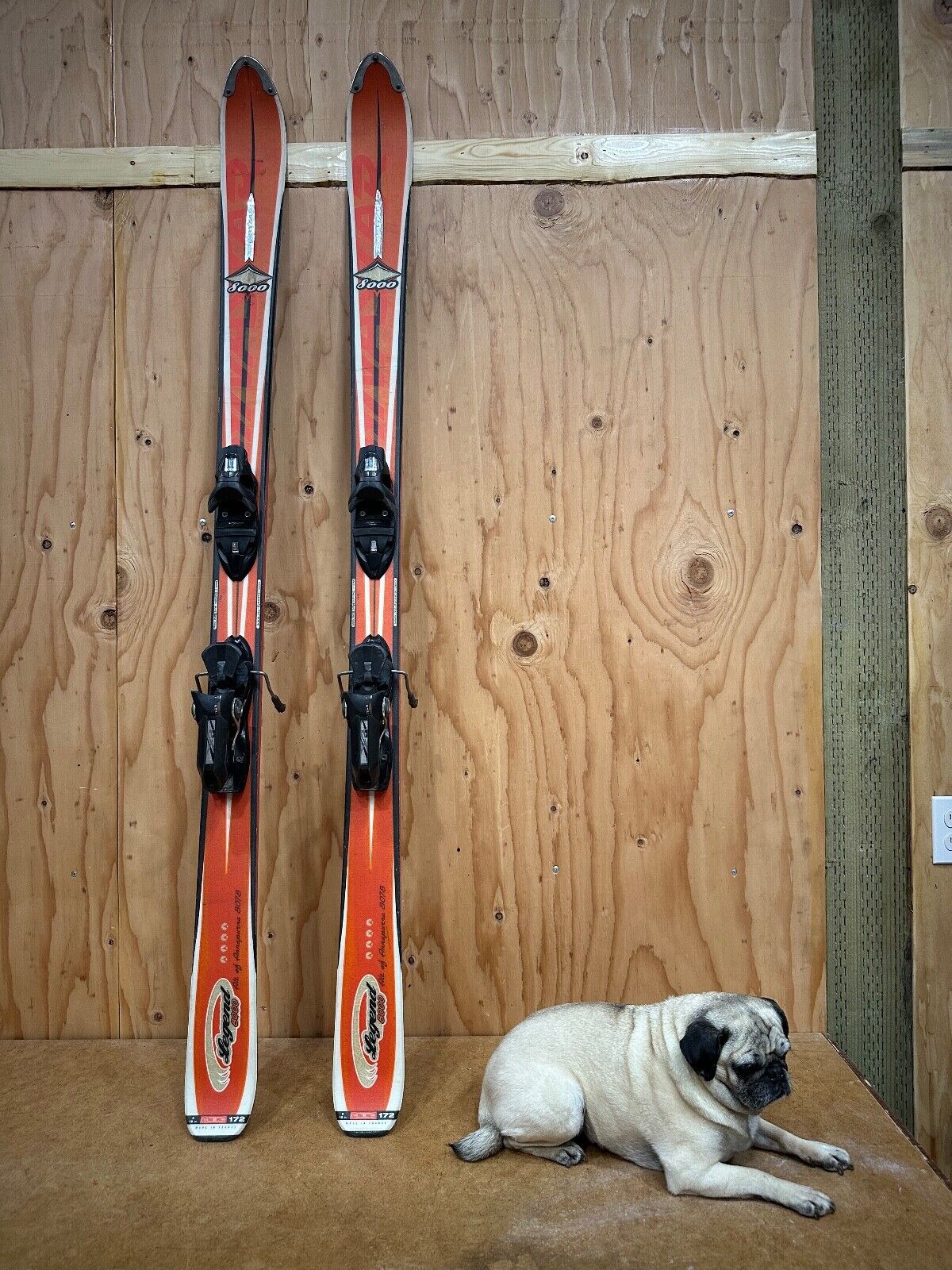 Dynastar Legend 8000 All Mountain Snow Skis 172cm with Look Dynastar Legend 8000 All Mountain Snow Skis 172cm with Look