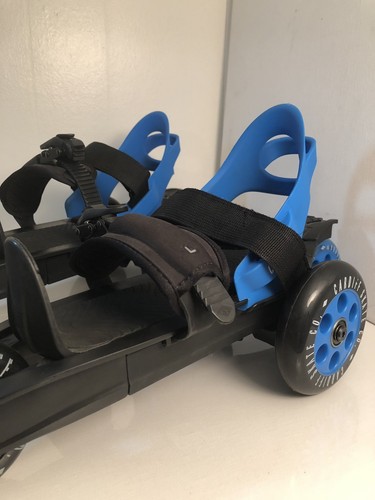 Cardiff Skate Co. Adult Cruiser Skates, Blue,Large(L)