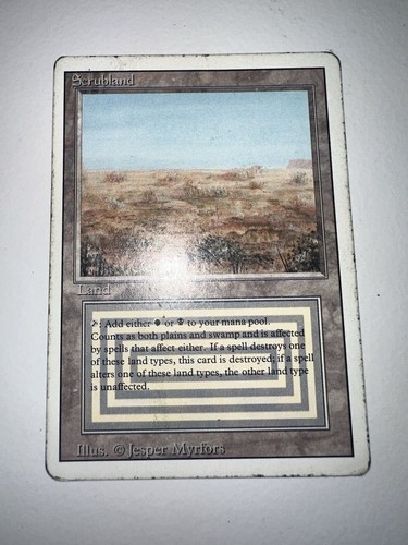 scrubland mtg 英語　１枚　hp Amazon.com: Scrubland : Toys & Games