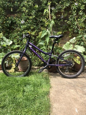 carrera saruna 20 inch