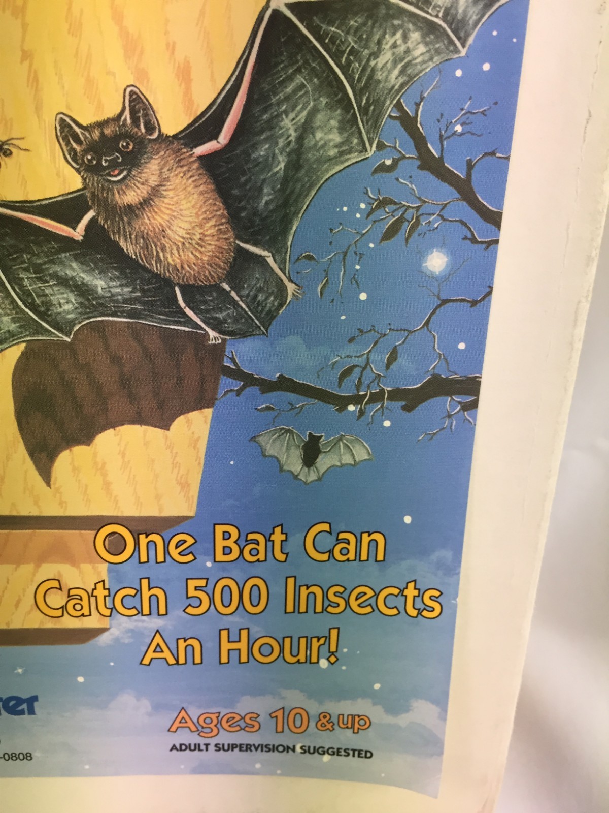 Woodcrafter Bat House Kit Home for 8-10 Bats Natures Best Insect Control