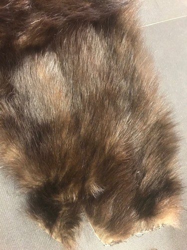 beaver pelt Fur Perfect For That Project Combine Shipping