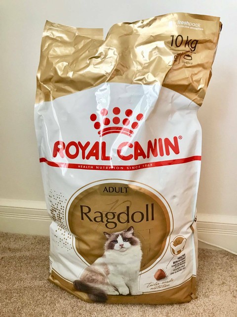 ragdoll royal canin 10kg