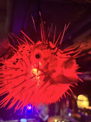 NEW 8 -9  Puffer Fish Lamp w/ Red LED Tiki bar Smokin Tikis